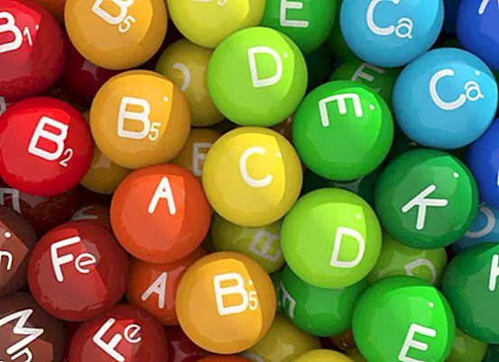 Quais são as vitaminas e principais funções de cada um?