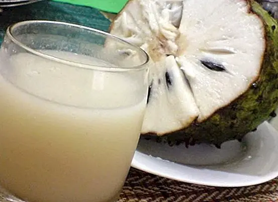 Fasting guanabana juice