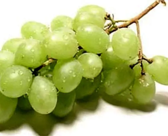 Druiven voor hoge bloeddruk