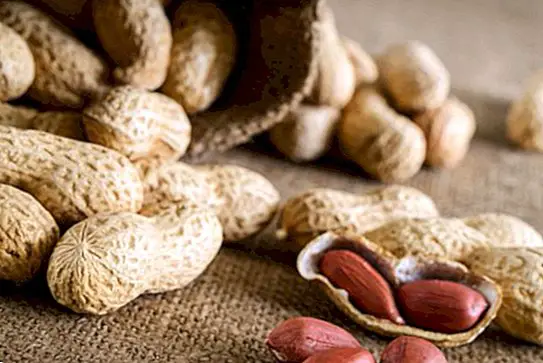 Peanøtter: 5 fordeler med peanøtter som du ikke kan gå glipp av