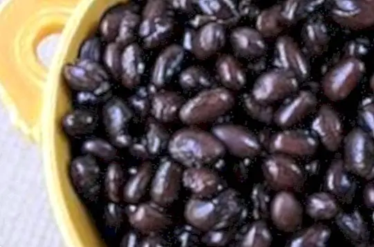 Black beans: properties and benefits