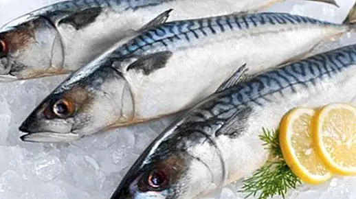 ernæring og kosthold - Makrell: egenskaper og fordeler
