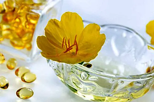 Pearls of evening primrose: benefits, how to take them and contraindications