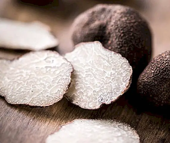 Faedah truffle hitam, sifat dan faedah - pemakanan dan diet