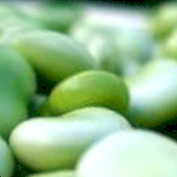 Beans: an energetic food