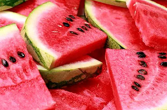 Exquisite watermelon: unique benefits and nutritional values