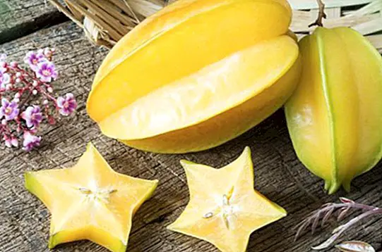 Karamboly alebo hviezdne ovocie: výhody a vlastnosti