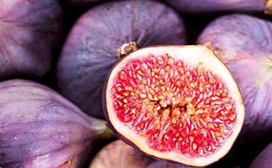 Figs, allies against autumnal asthenia