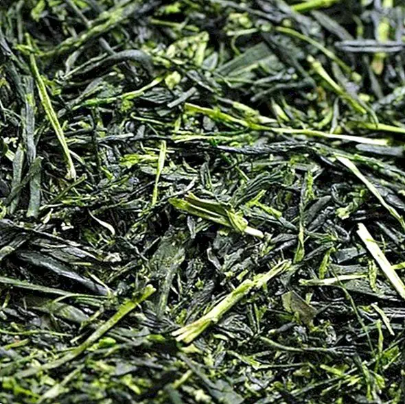 Senchan teetä: mitä se on, hyödyt ja ominaisuudet - ravitsemus ja ruokavalio
