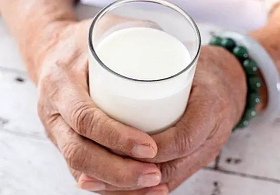 Mengapa susu tidak menghalang osteoporosis - pemakanan dan diet