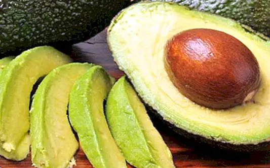 Properties and benefits of avocado