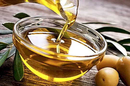 Oljčno olje in njegove prednosti proti holesterolu