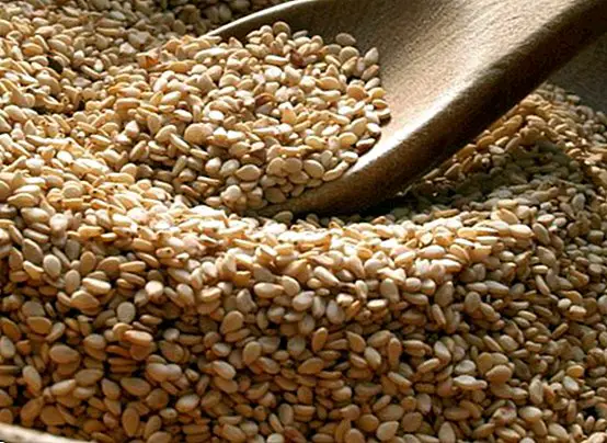 Sesame seeds: incredible health benefits