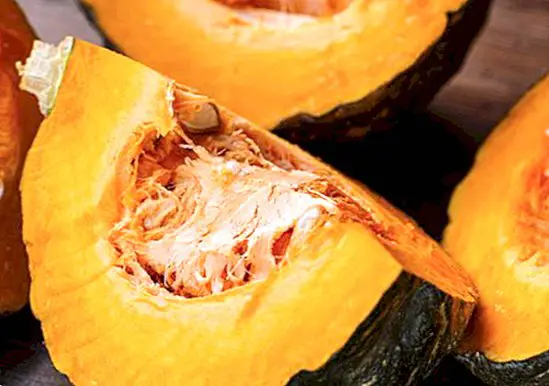Bundeva: svojstva i prednosti jesenje hrane