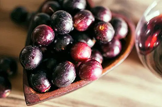 Benefícios dos taninos para a saúde: antioxidantes naturais
