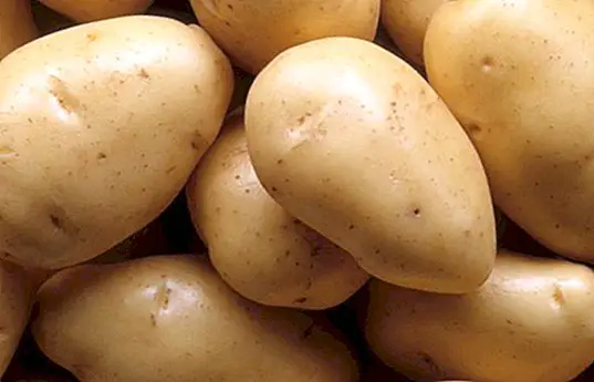 Krumpir: svojstva i prednosti ukusnog krumpira