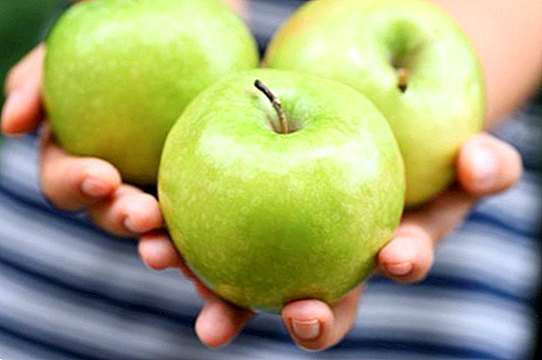 Miksi syödä 1 omena päivässä: hyödyt ja tärkeät ominaisuudet