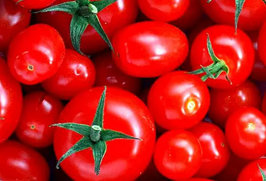 Mikä on tomaatin hyvä?
