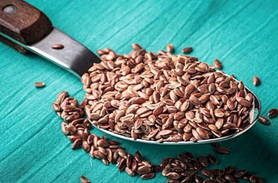 Nádherné a výživné semená: prečo by sme ich mali zahrnúť do stravy