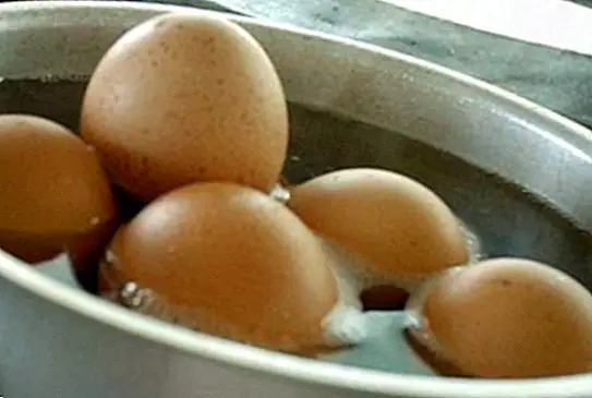 Myter om ægget