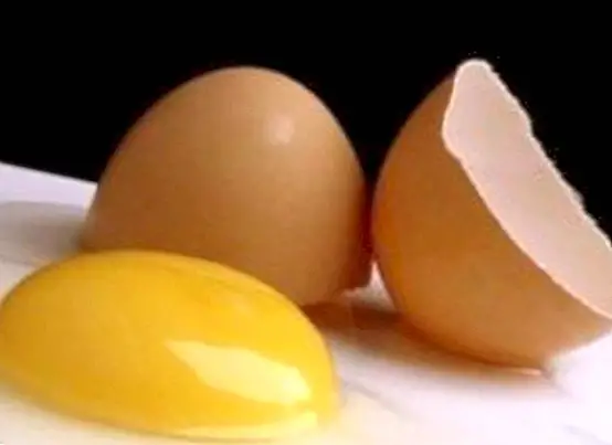 Telur putih, faedah dan sifat umum