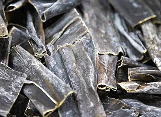 Kombu seaweed: what it is, unique benefits and uses in the kitchen