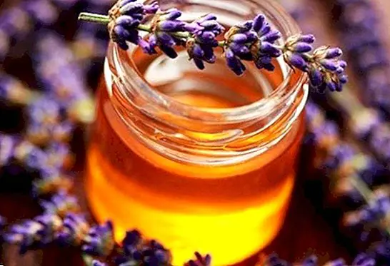 Lavender honey, benefits and properties - nutrition and diet