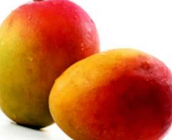 Mango: ideal in summer for its important benefits