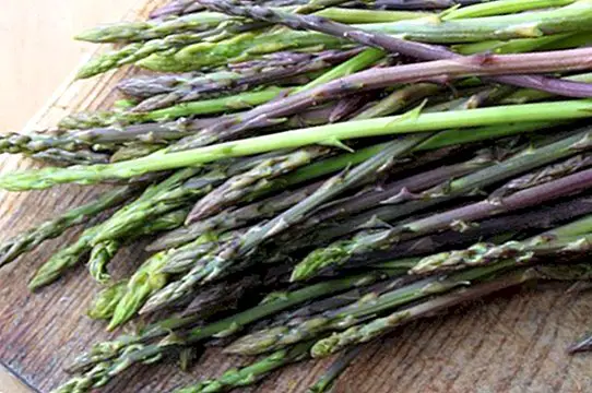 Fordele og egenskaber af vilde asparges (vilde)