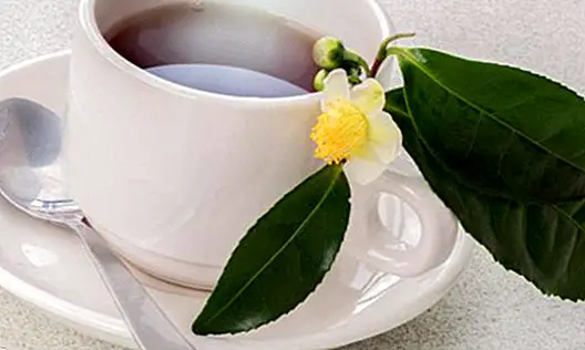 Fill yourself with health and energy with tea - nutrition and diet