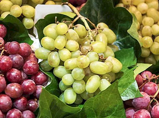 Осінні та зимові продукти: фрукти, овочі та горіхи