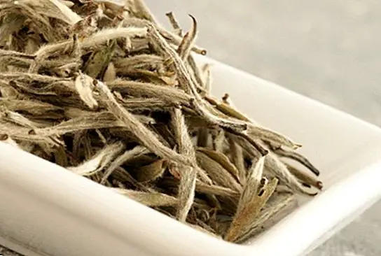 Witte thee: eigenschappen, voordelen en contra-indicaties