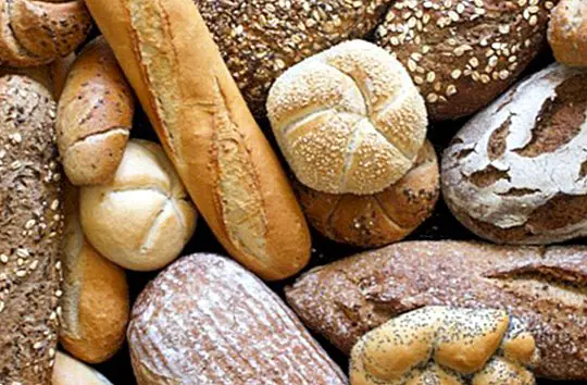 بعض الفضول حول الخبز والخصائص الرئيسية