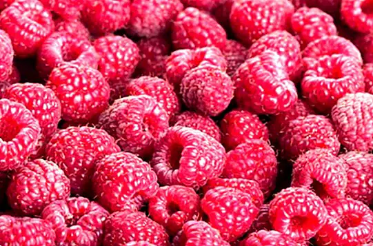 Raspberries: wonderful benefits and properties