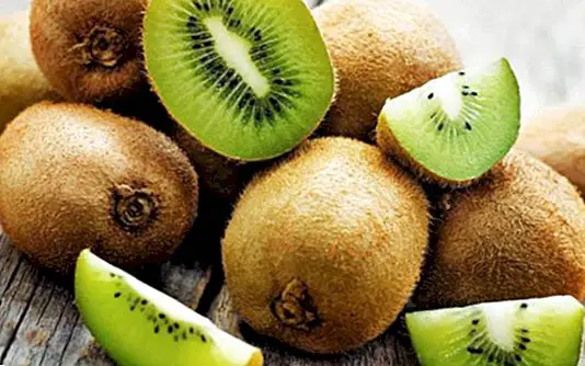 Kiwi, meget rig på fiber: egenskaber og næringsværdier
