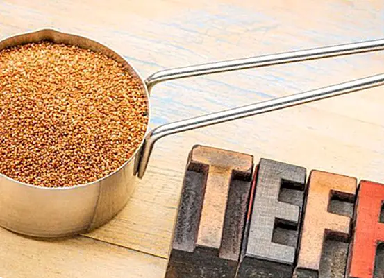 prehrana in prehrana - Teff: kaj je to, lastnosti in koristi hranljivih žit