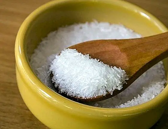 Monosodium glutamate: what it is, side effects, risks and how to find it - nutrition and diet