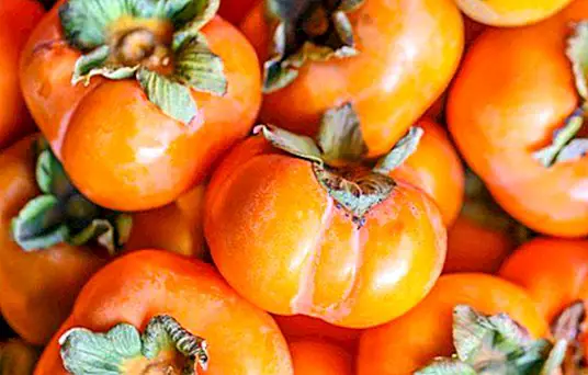 Persimmon: a sweet and healthy fruit
