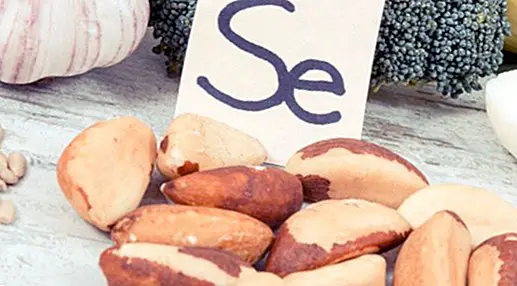 Selenium: what it is, benefits, functions and rich foods
