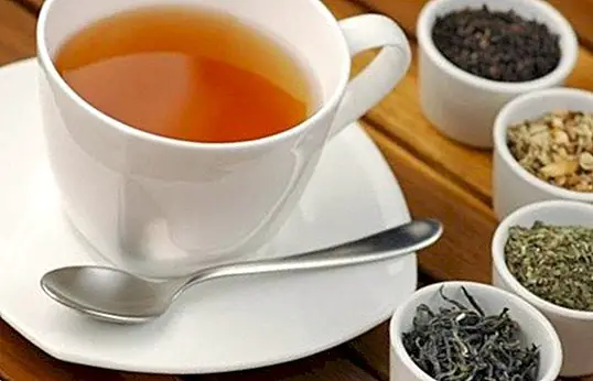 Výhody každej odrody čaju a jej hlavných rozdielov