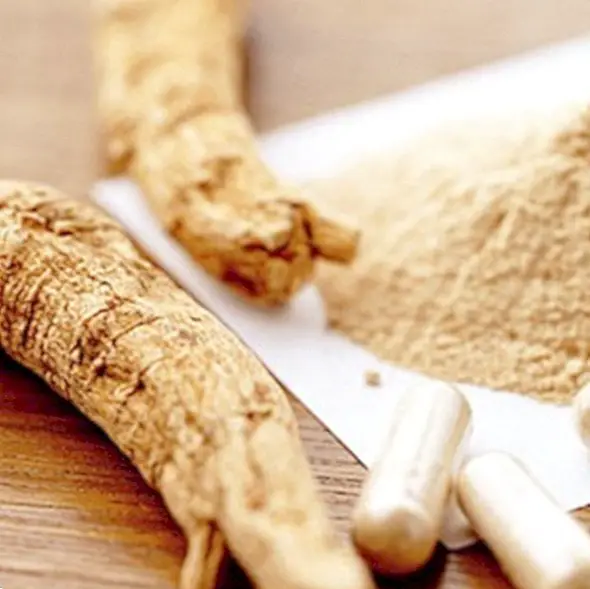 nutrition and diet - Ginseng: properties and benefits