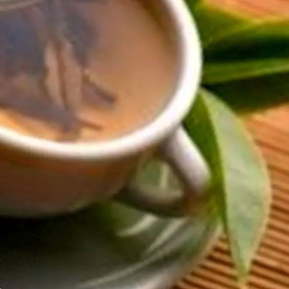 A 6 leghatásosabb zsírégető tea | Well&fit
