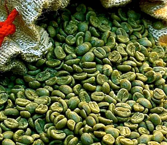 Výhody a vlastnosti zelenej kávy - schudnúť