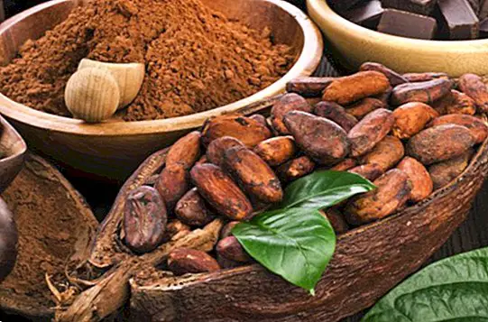 Kakao je silný spojenec na spaľovanie tuku