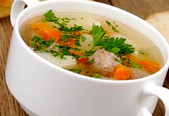 How to prepare purifying soups and broths, healthy and at the same time appetizing