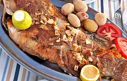 Receitas - Como fazer peixe com mojo cozido: receita das Ilhas Canárias