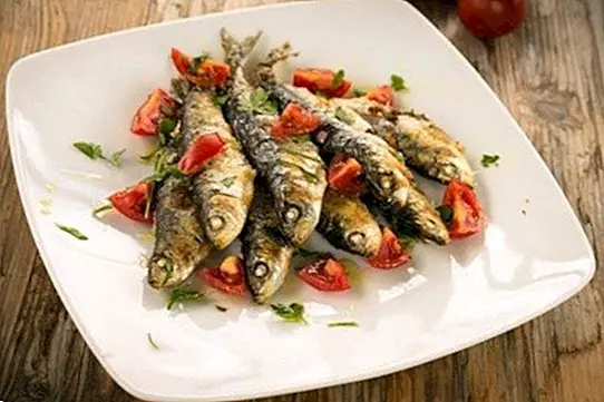 Receitas com sardinha, deliciosa e nutritiva