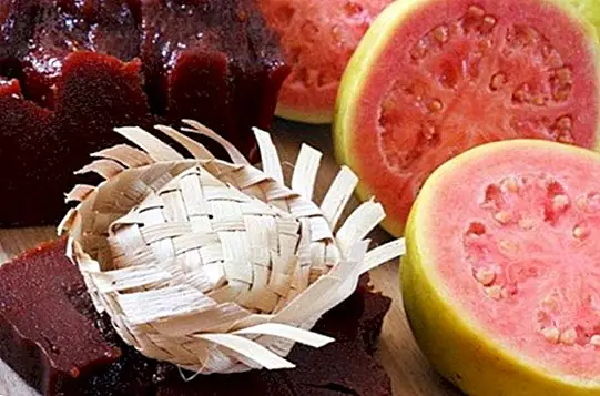 Kako narediti pasto iz guave: recept za sladko pasto iz guave - Recepti