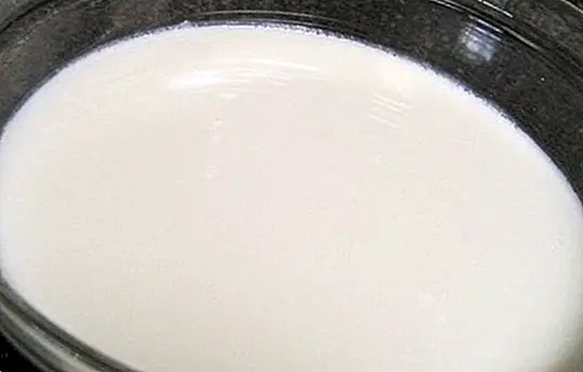 Kako napraviti jogurt kod kuće bez kavu od jogurta