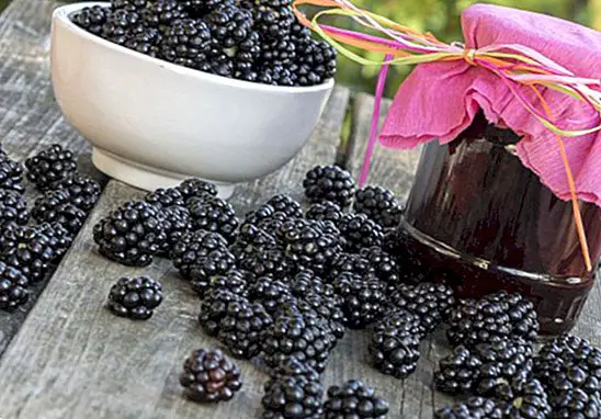 Blackberry jam: opskrift trin for trin